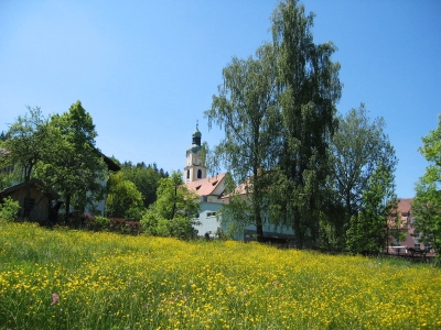 Urlaub Bayerischer Wald